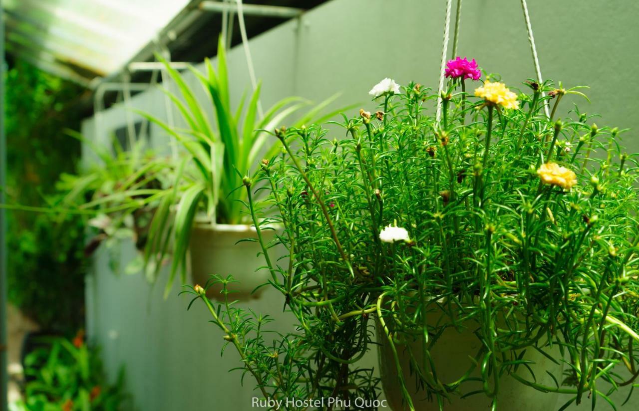 Ruby Phu Quoc Hostel エクステリア 写真